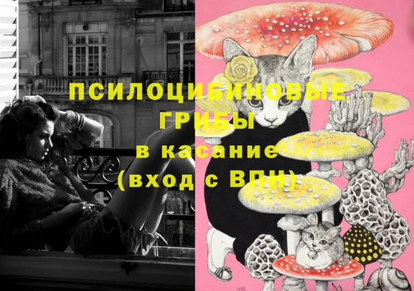 амф Белоозёрский