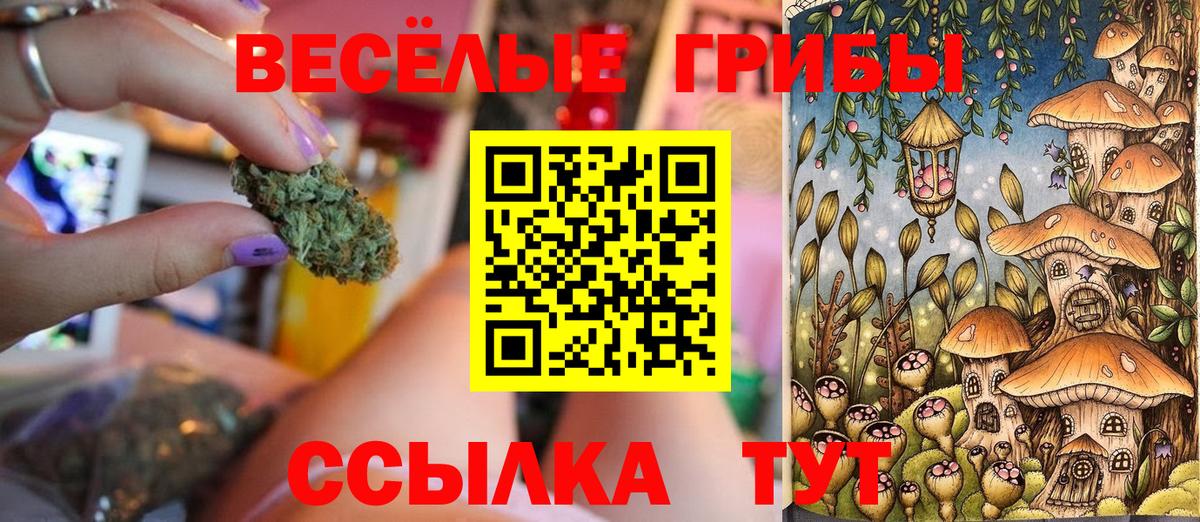 Видное  Псилоцибиновые грибы ЛСД  цены   Вход с VPN  Галлюциногенные грибы Psilocybe 